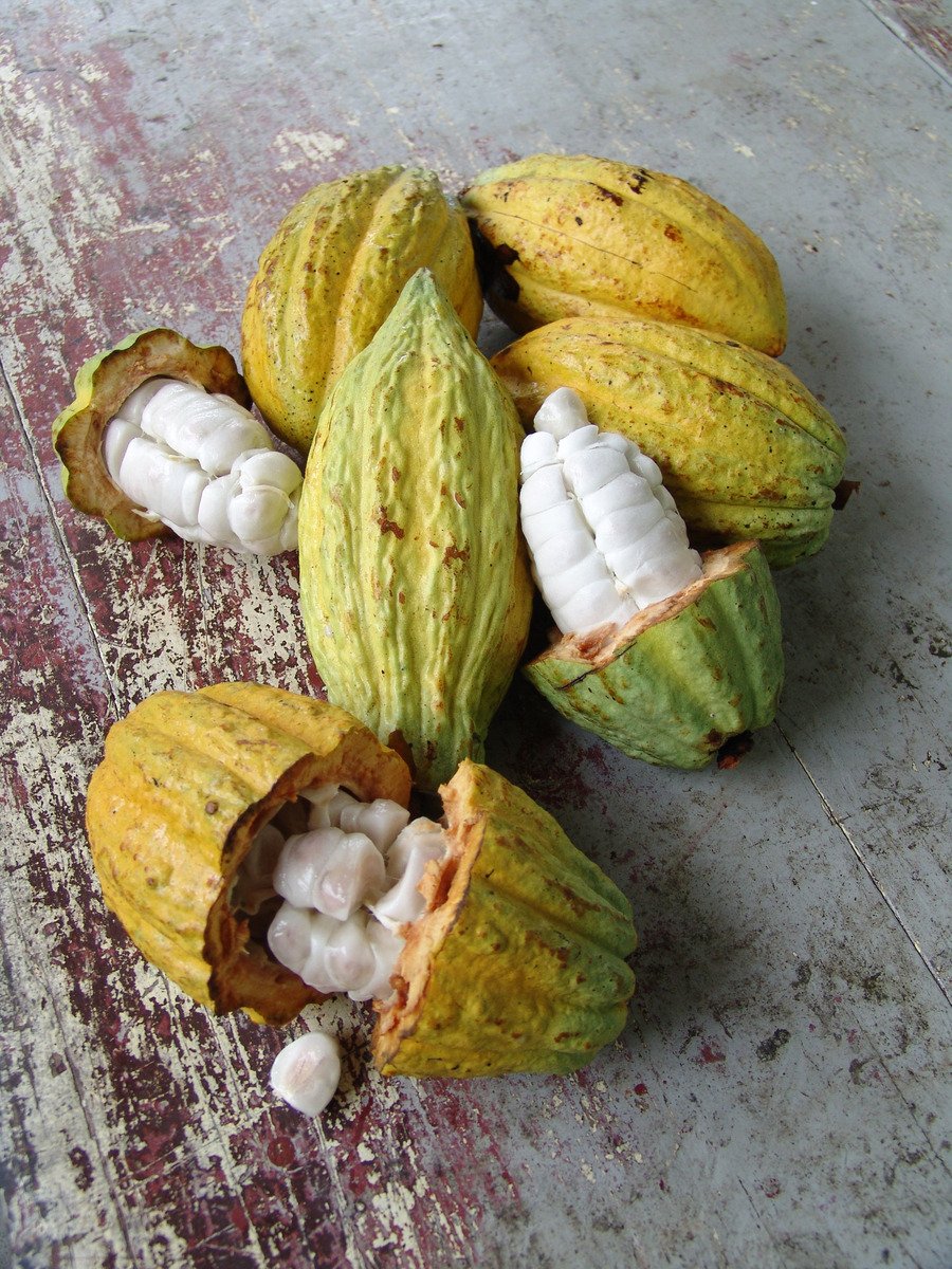 Boosting Cocoa Prices “The Right Thing To Do,” Despite Bottom Line Impact