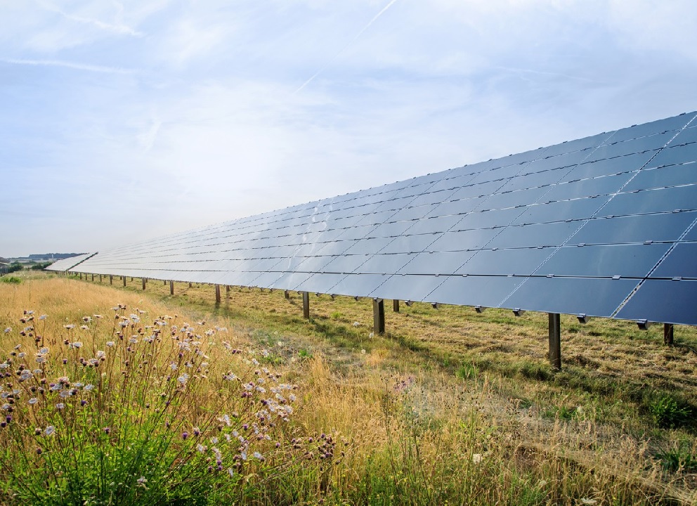 Bosch Announces Two More PPAs for Renewable Energy