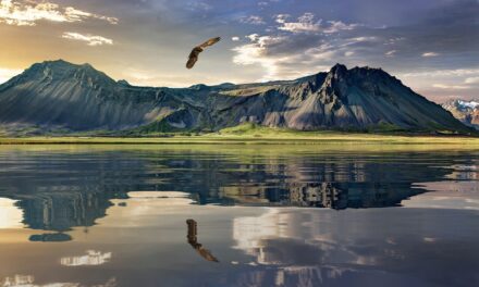New Zealand to Become First Country Mandating Climate Risk Reporting From Financials
