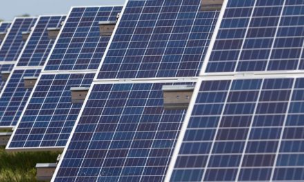 IEA World Energy Outlook: Renewables Take A Starring Role