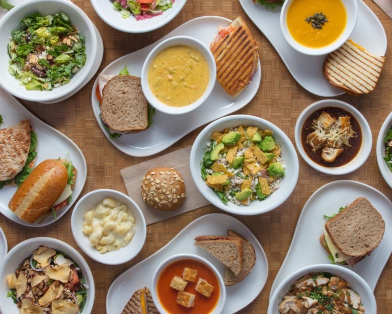 Panera First to Adopt WRI’s New Climate-Friendly Cool Food Meals Label