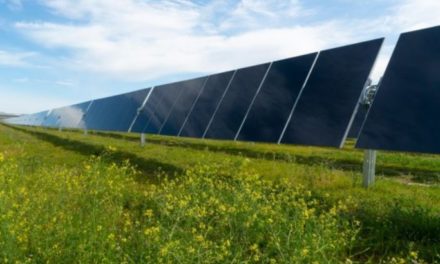 Renewable Energy Companies Form Alliance to Advance Ultra Low-Carbon Solar Technology