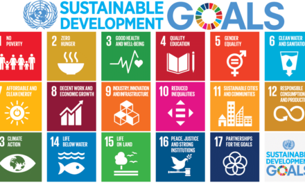 S&P Global Study: SDG Aligned Portfolios Outperform
