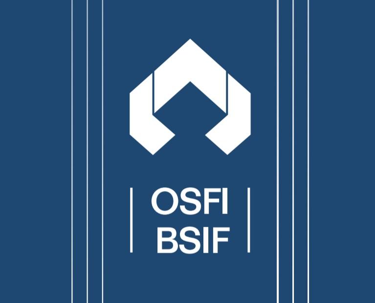 Osfi Car Chapter 4 Osfi Risks Launches Sector Consultation Climate