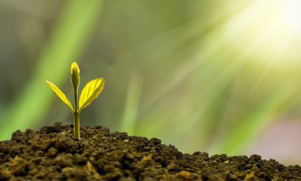 ShareAction Highlights Leading Asset Manager Practices on ESG