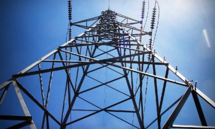 Hydro One Sets New Targets for Emissions Cuts, Diversity Initiatives