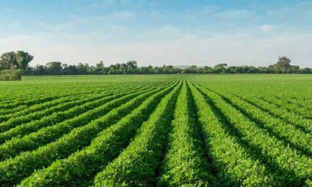 Ag Sciences Company FMC Targets Net Zero Emissions in Operations and Value Chain by 2035