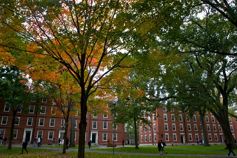 Harvard　university