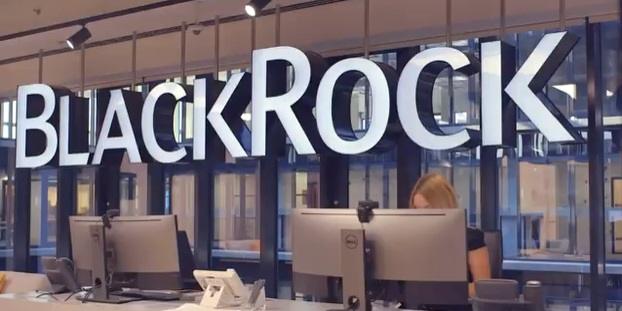 BlackRock Commits to Guide Investors Through Net Zero Transition