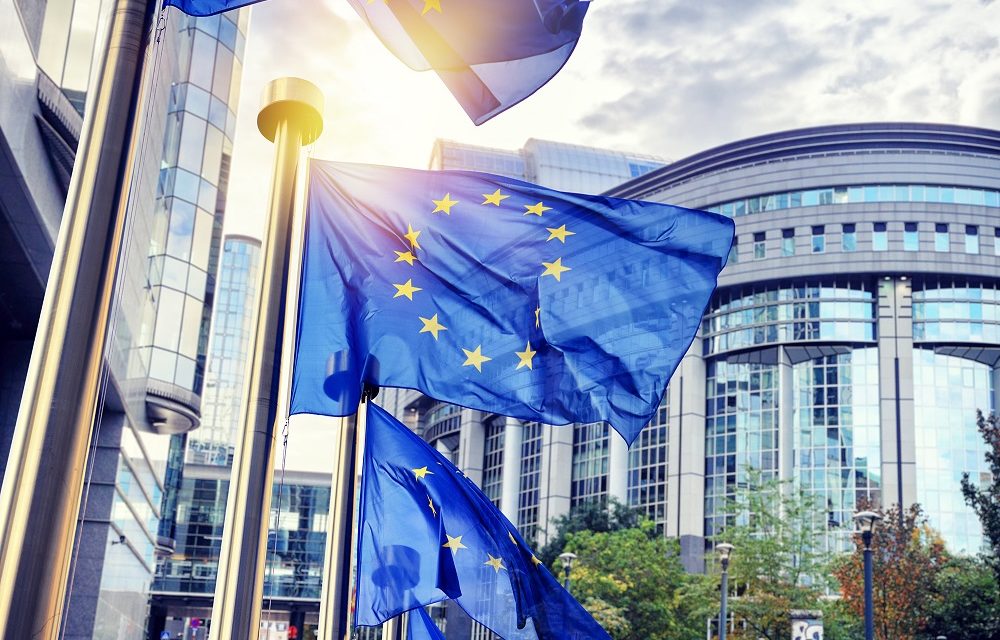 Guest Post: What Business Leaders Need To Know About the Growing Pains in Europe’s ESG Governance