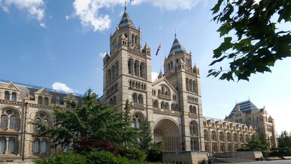 Federated Hermes Launches Biodiversity Fund with London’s Natural History Museum