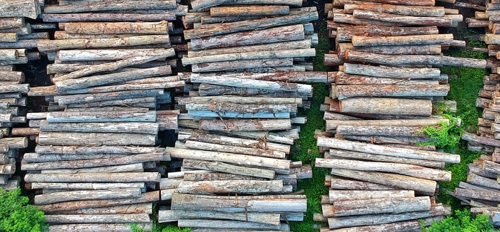 Guest Post:  As Companies Commit to Climate Action, Here’s What They can Learn from Deforestation