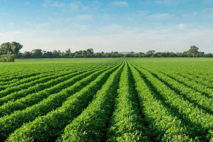 AgTech Startup Arable Raises $40 Million to Scale Sustainable Agriculture Solutions