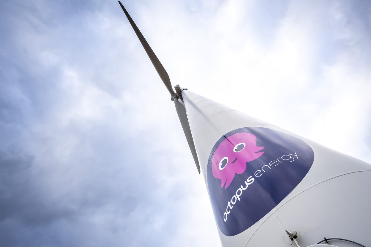 Clean Energy Investor Octopus Raises $550 Million to Fuel Global Expansion