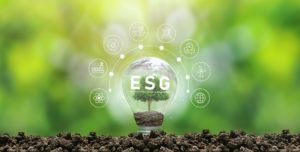 Guest Post: Connecting the “D” to the ESG
