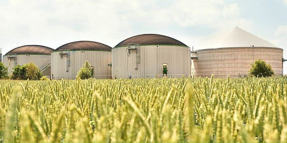 Macquarie Acquires 140 GWh Bioenergy Portfolio from BayWa r.e.