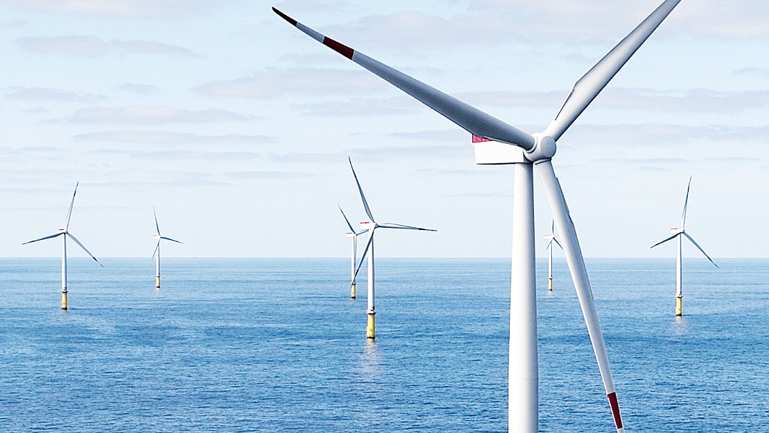 Ørsted, WWF Partner to Address Biodiversity Impact of Offshore Wind Deployment