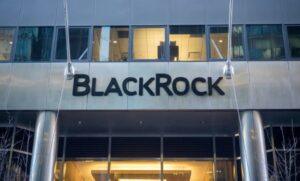 BlackRock to Begin Extending Voting Choice to Individual Investors