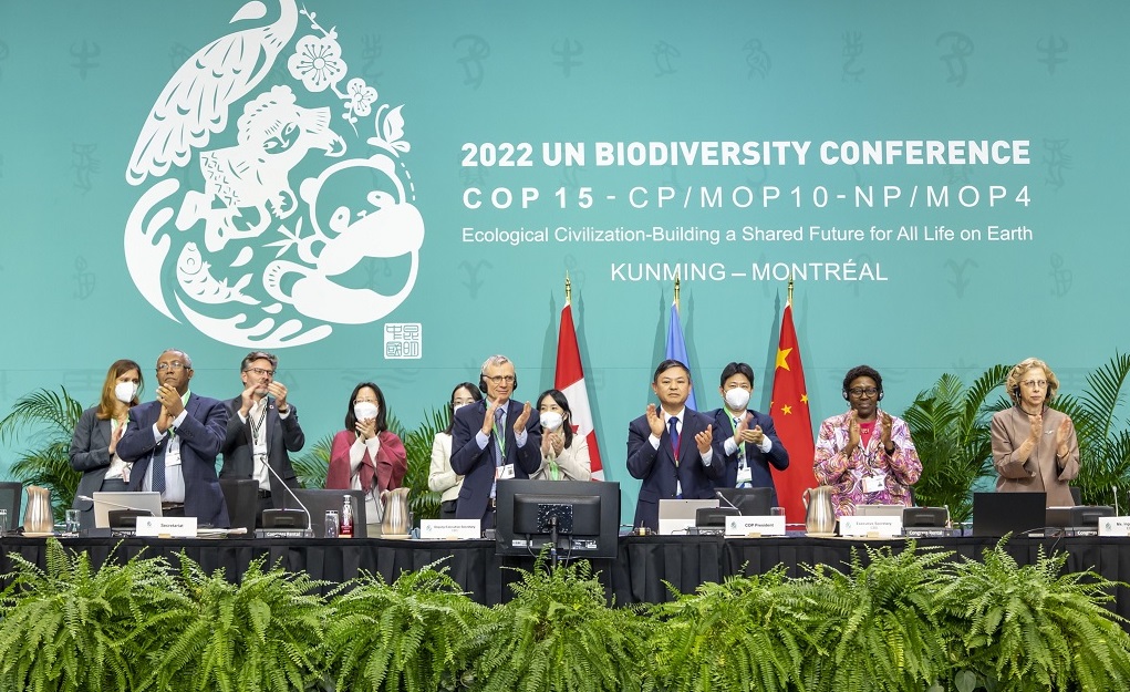 International Agreement Reached at COP15 to Halt Biodiversity Loss, Protect Ecosystems