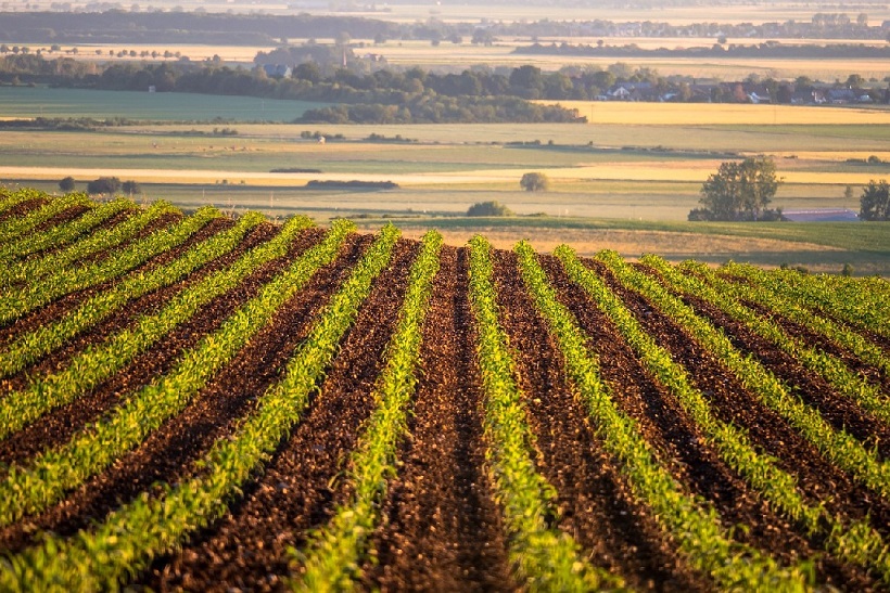 ResponsAbility Raises $106 Million for Climate-Focused Food and Agriculture Strategy