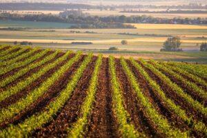 Walmart, PepsiCo to Invest $120 Million in Regenerative Agriculture