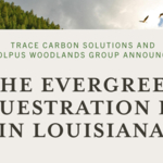Trace Carbon Solutions and Molpus Woodlands Group Announce the Evergreen Sequestration Hub in Louisiana