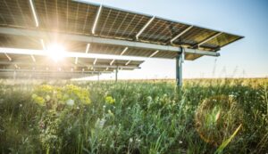 LyondellBasell Nears 2030 Renewables Goal with Lightsource bp Solar Deal