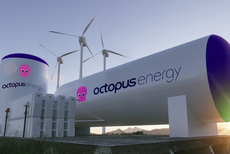 Octopus Energy Raises $800 Million to Accelerate Clean Energy Buildout