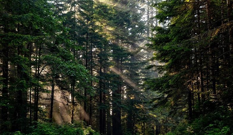 GRI Launches New Biodiversity Reporting Standard GRI Launches New Biodiversity Reporting Standard