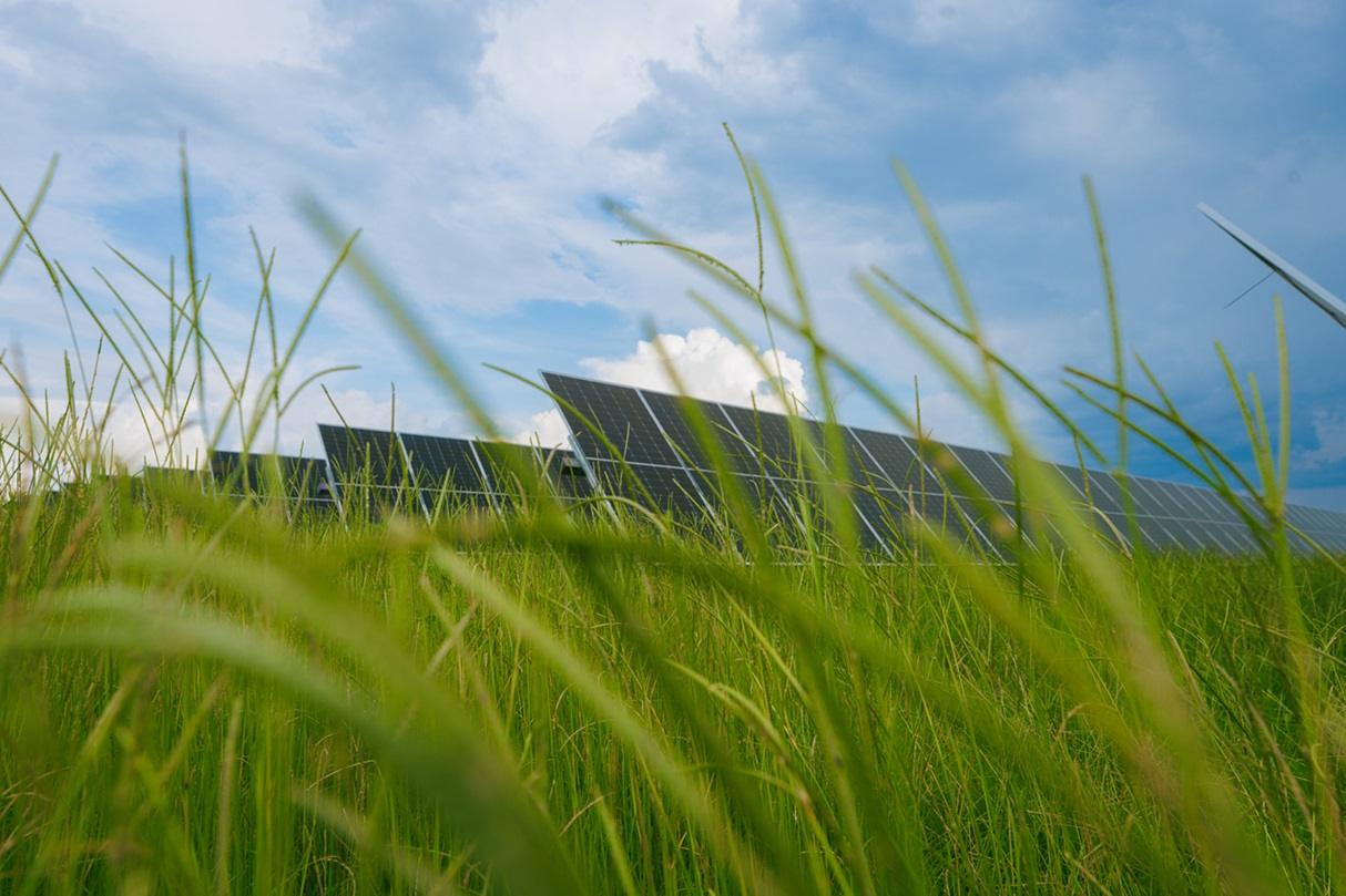 U.S. Solar Developer Pine Gate Raises $650 Million