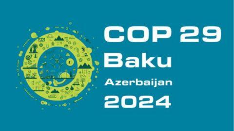 COP29