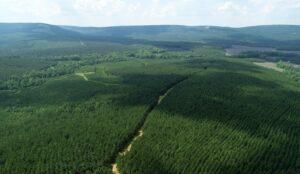 Iceberg Data Lab Launches Tool Enabling Investors to Assess Portfolio Deforestation Impact