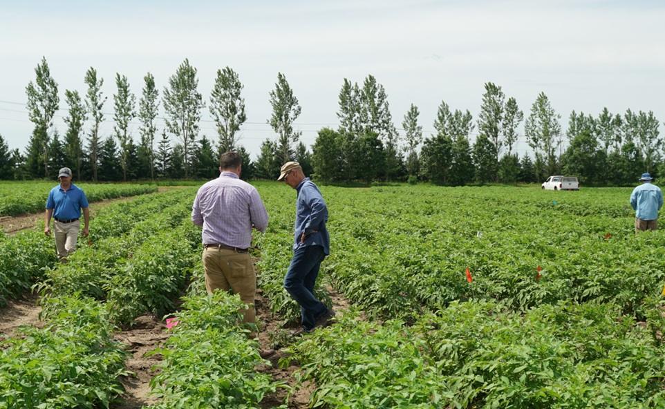 Just Climate Invests $25 Million in Sustainable Agriculture Solutions Provider GreenLight Biosciences
