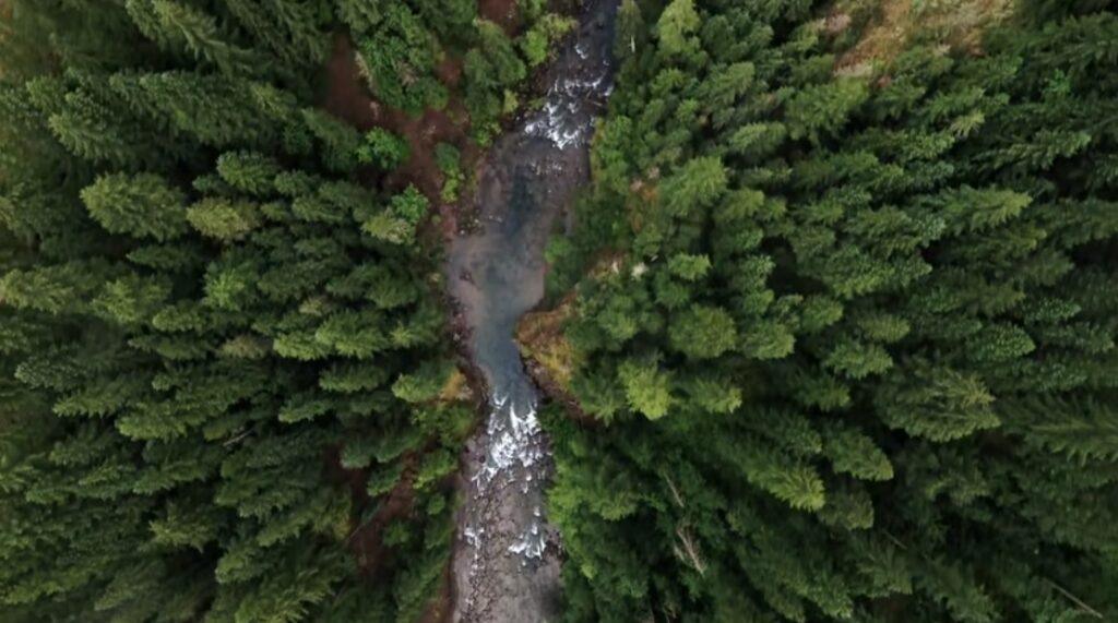 Nestlé, Mars Warn that Delaying EU Deforestation Law Would Create Uncertainty, Disengagement