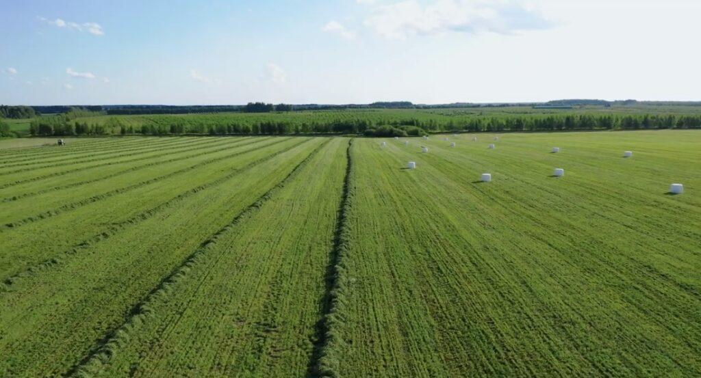 GHG Protocol Launches Carbon Accounting Standard for Land Sector