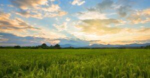 Carbon Removal Project Developer Varaha Raises $20 Million