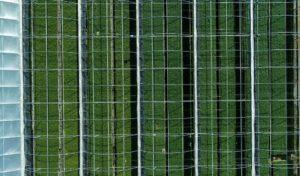 Mast Reforestation Sells Out Carbon Credits from U.S. Reforestation Project in 6 Weeks