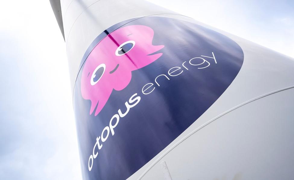 Octopus Invests $500 Million in U.S. Reforestation-Based Carbon Removal Projects