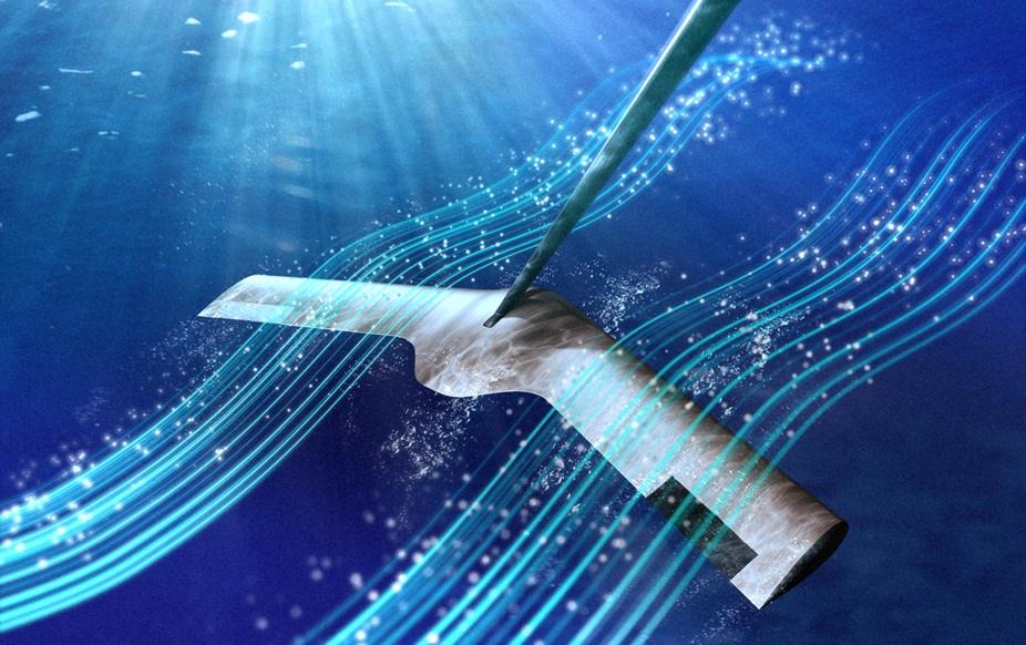 Caudal Energy Raises $5.6 Million to Generate Power from Marine Mammal-Inspired Tidal Tech