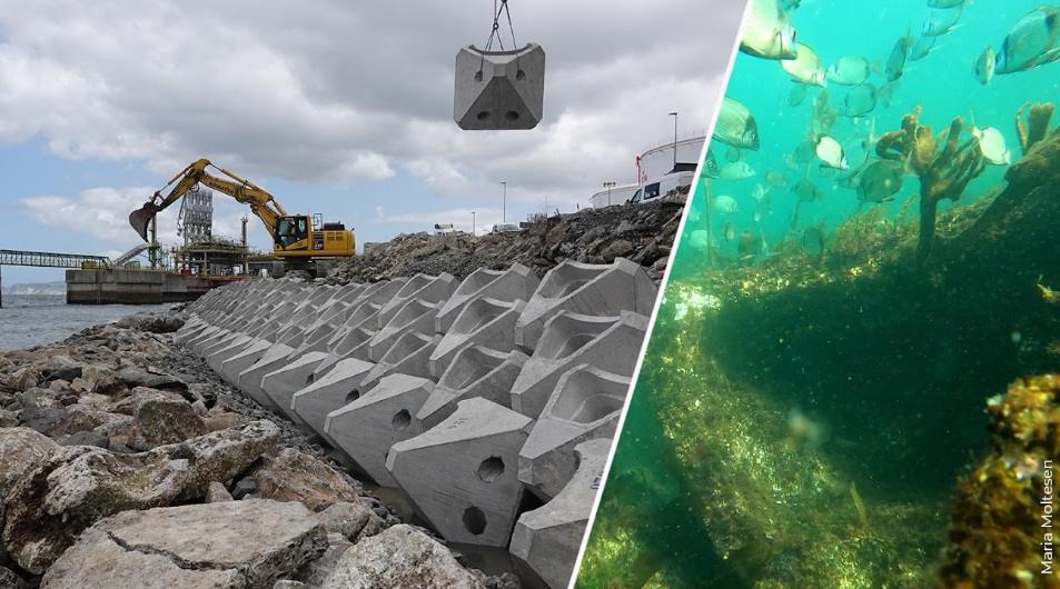ECOncrete Raises $14 Million to Scale Ecosystem-enhancing Marine Construction Materials Technology