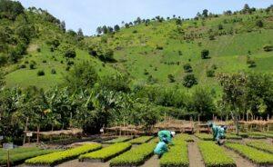 Danone, Mars Back New €150 Million Nature-Based Solutions Fund