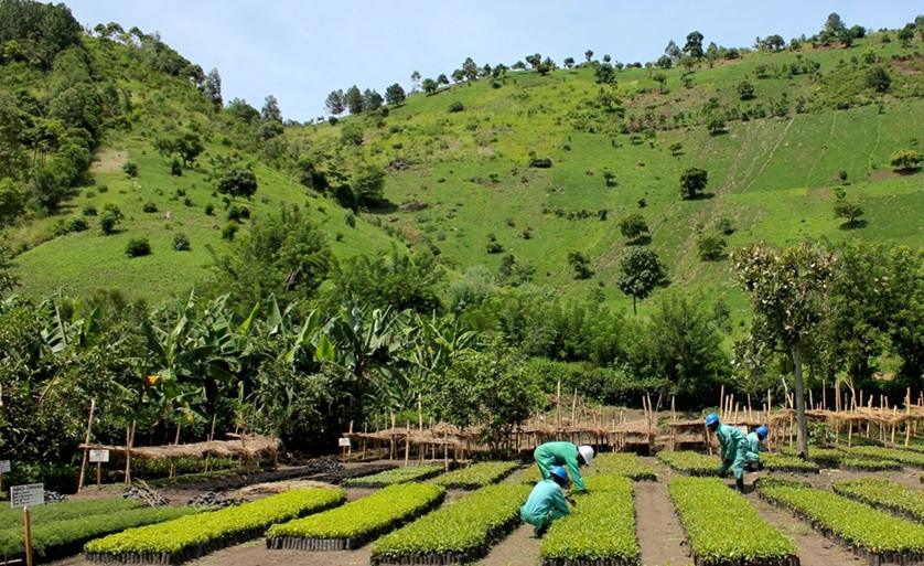 Danone, Mars Back New €150 Million Nature-Based Solutions Fund