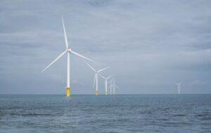 U.S. States Sue Trump Administration Over “Sham Deal” Paying TotalEnergies $1 Billion to End U.S. Offshore Wind Projects