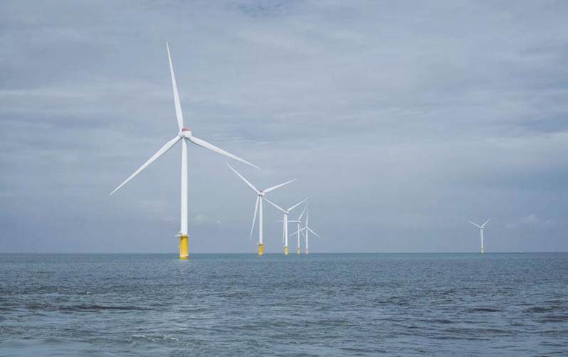 U.S. States Sue Trump Administration Over “Sham Deal” Paying TotalEnergies $1 Billion to End U.S. Offshore Wind Projects