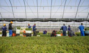 Amazon Signs 2 Million Ton Nature-Based Carbon Removal Deal
