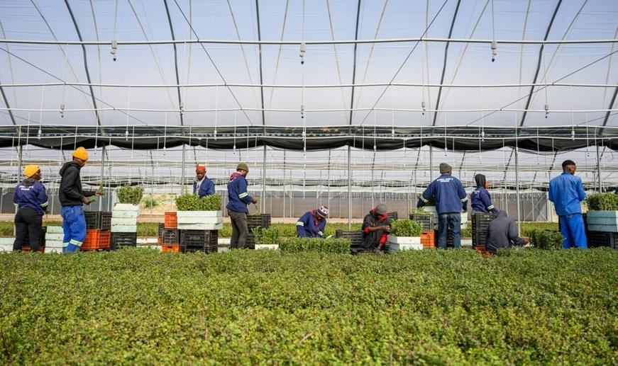 Amazon Signs 2 Million Ton Nature-Based Carbon Removal Deal